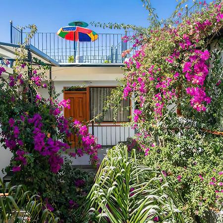 מלון ארקוויפה Casa El Errante מראה חיצוני תמונה