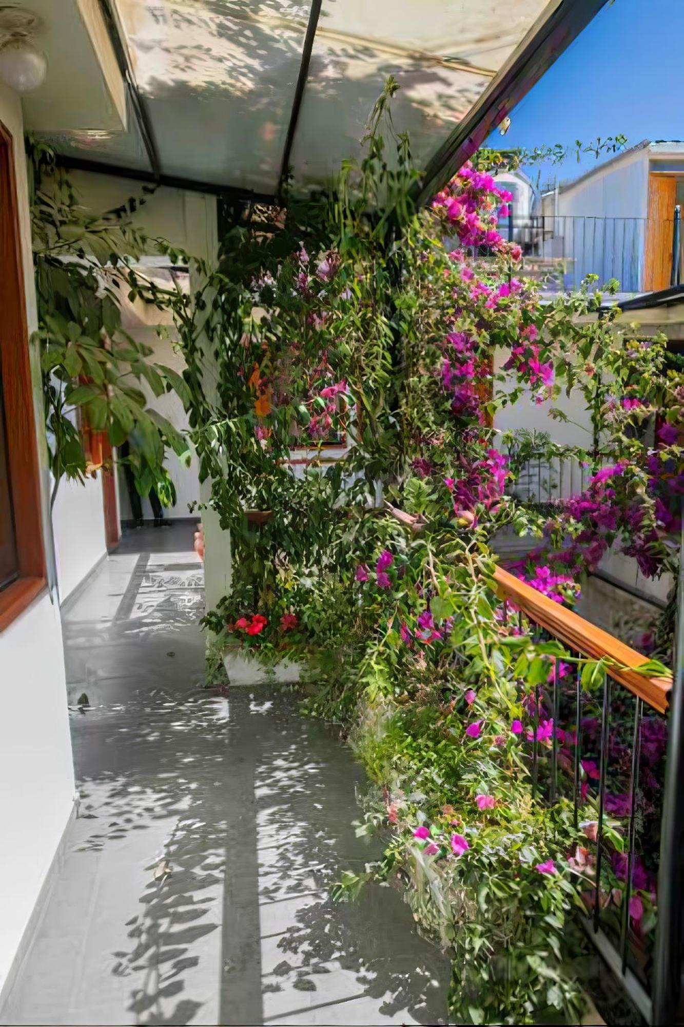 מלון ארקוויפה Casa El Errante מראה חיצוני תמונה